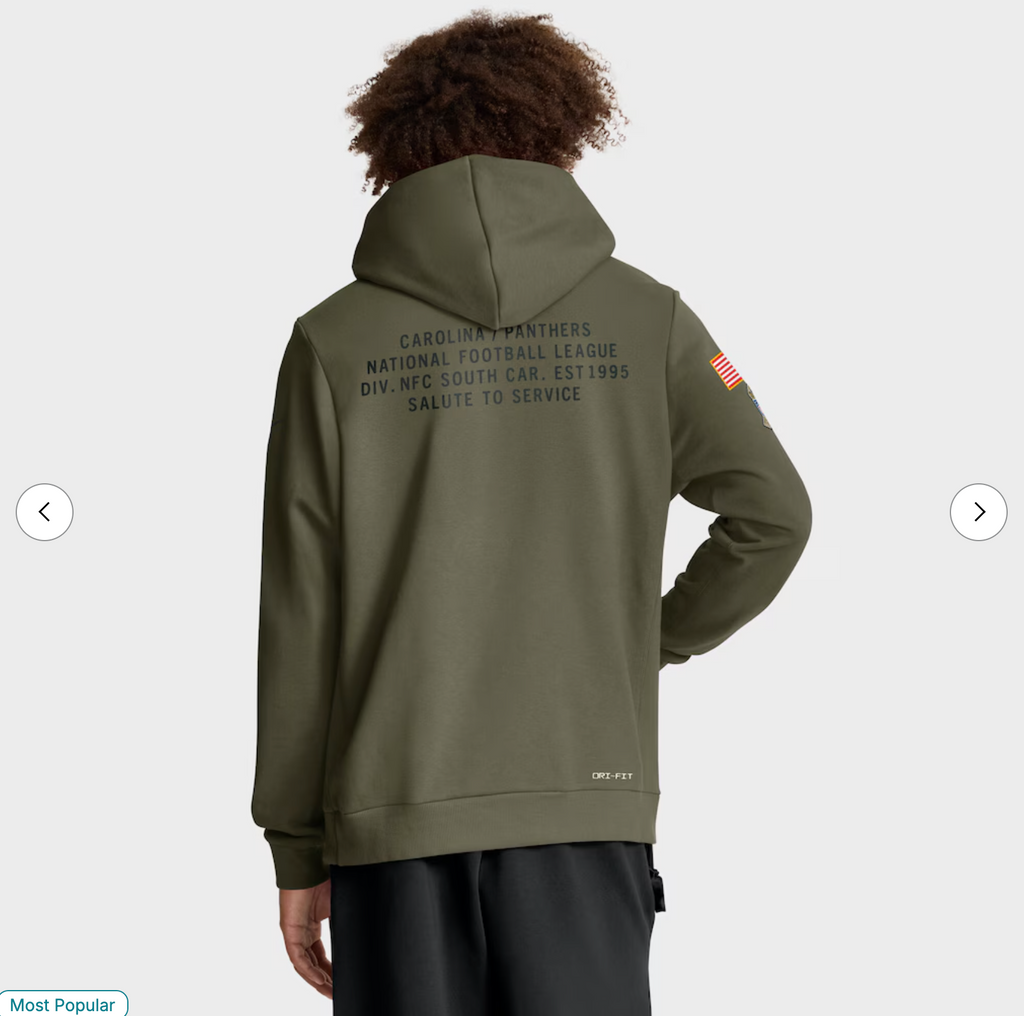 Carolina Panthers Nike 2025 Salute to Service Sideline Standard Issue Dri-FIT Hoodie - Olive