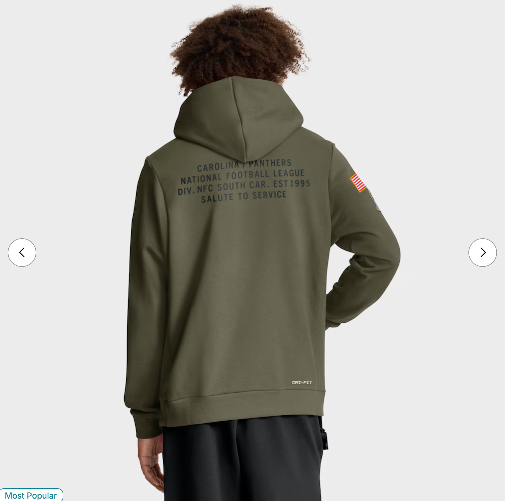 Carolina Panthers Nike 2025 Salute to Service Sideline Standard Issue Dri-FIT Hoodie - Olive