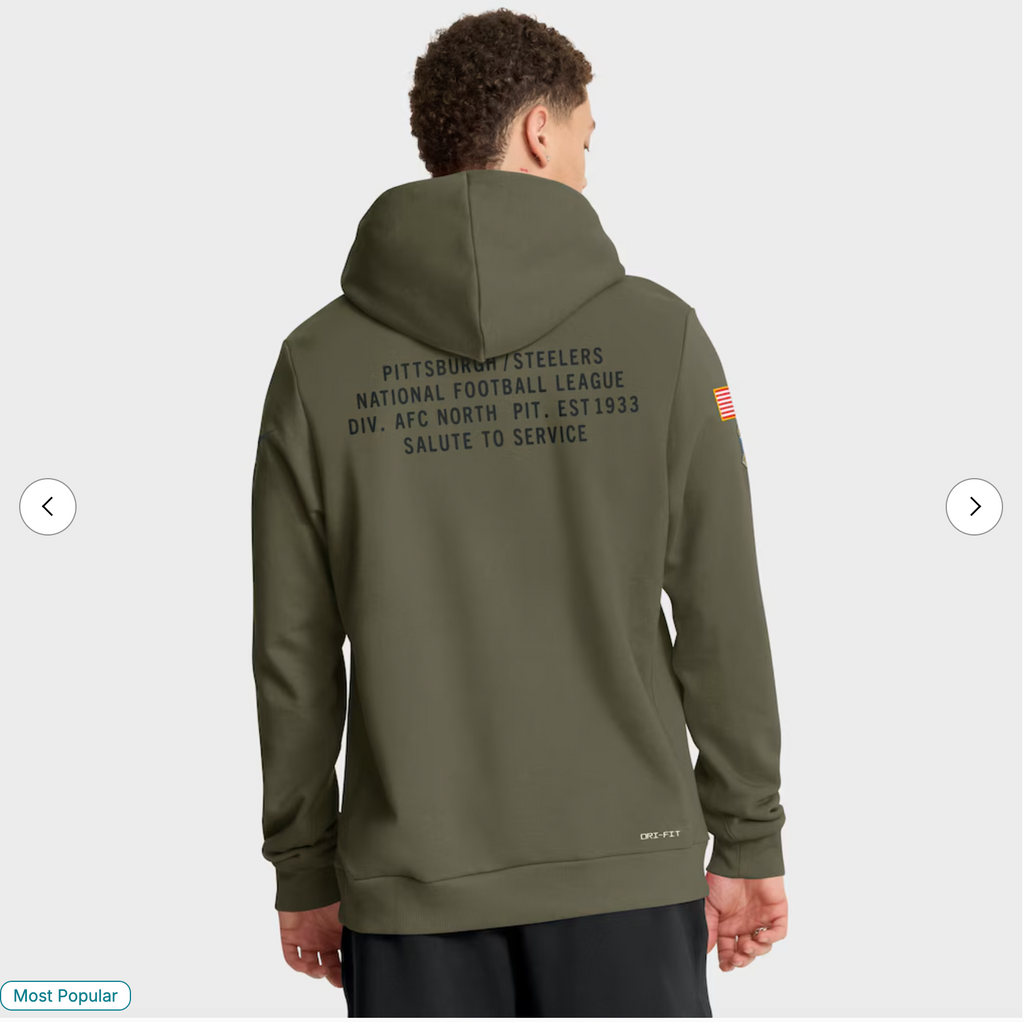 Pittsburgh Steelers Nike 2025 Salute to Service Sideline Standard Issue Dri-FIT Hoodie - Olive
